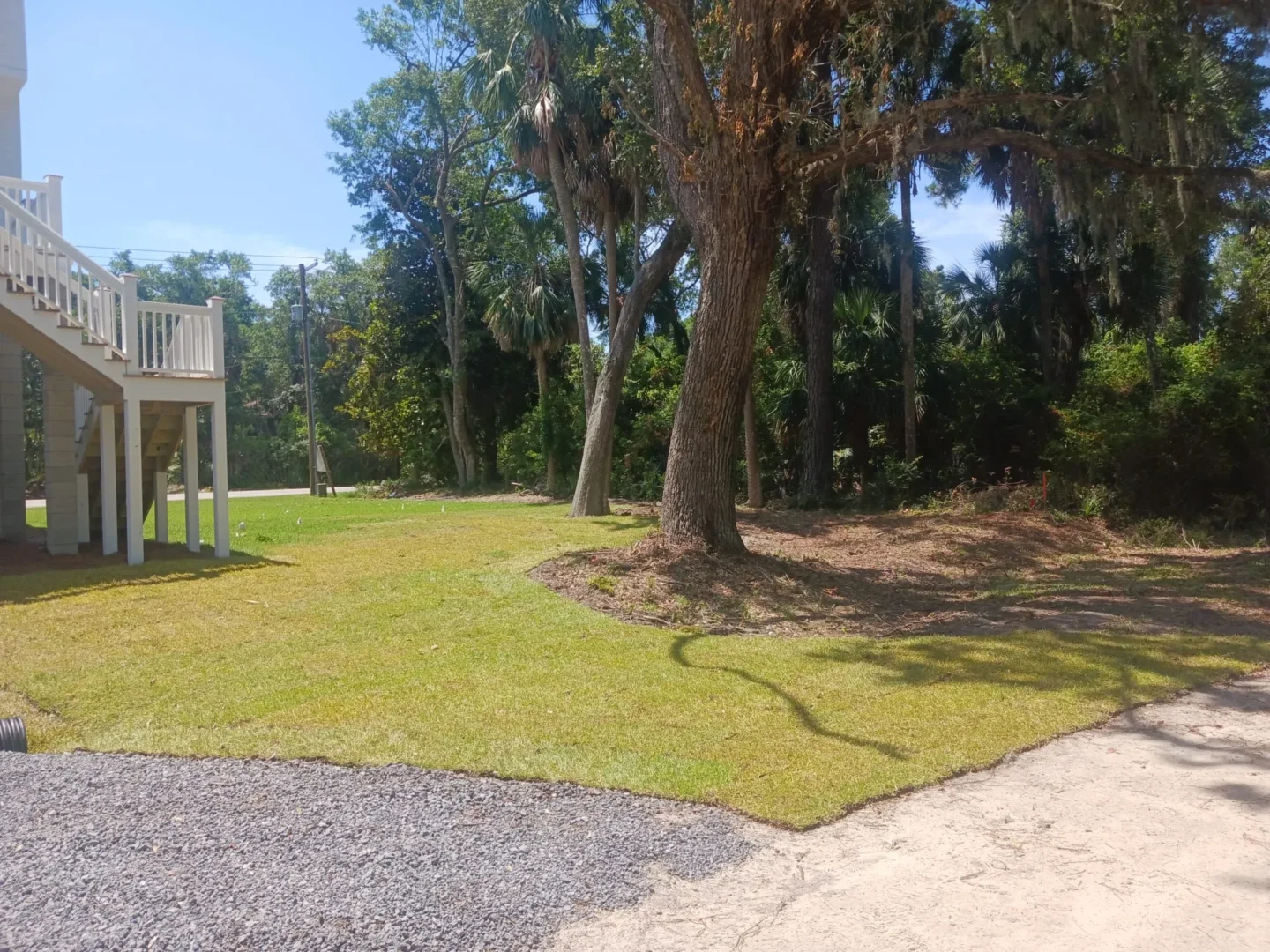 New Sod Installation Charleston – Fresh Sod for New Construction and Bare Yards