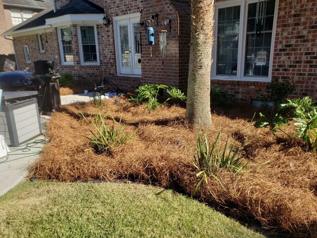 backyard design Mount Pleasant SC