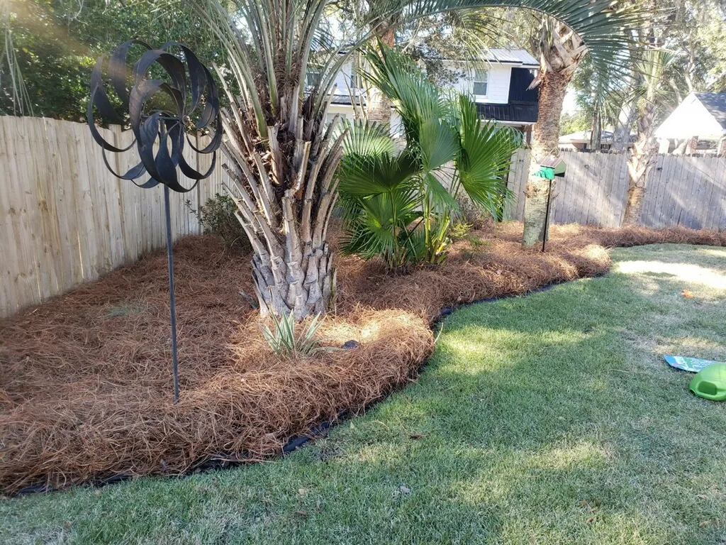 bed edging Charleston SC