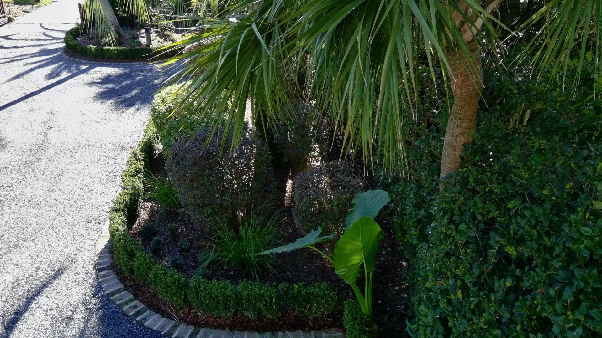 bush trimming Charleston